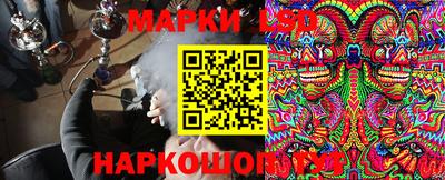 гашик Шелехов