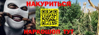 сатива Усть-Илимск
