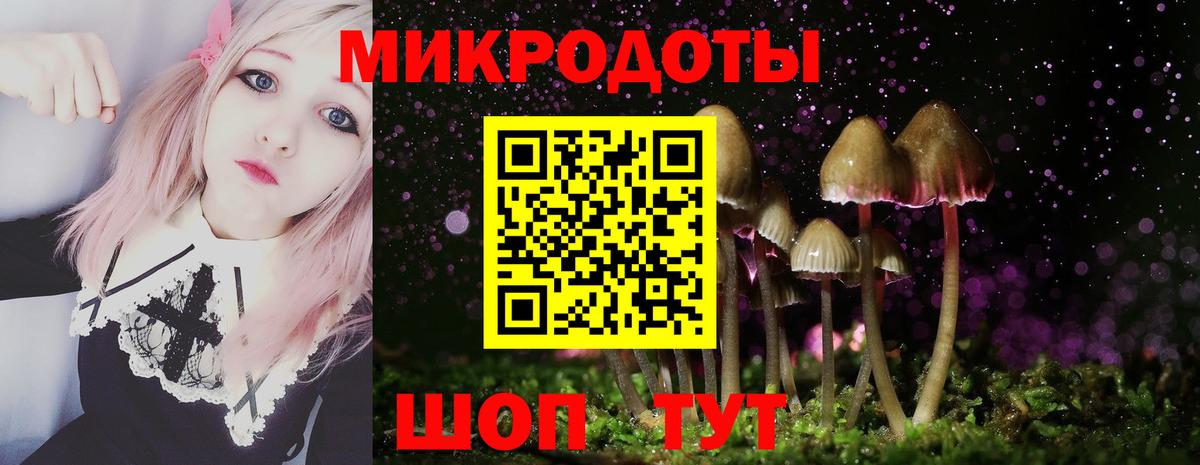 Псилоцибиновые грибы GOLDEN TEACHER  Вход с VPN  купить наркотик  Тольятти 
