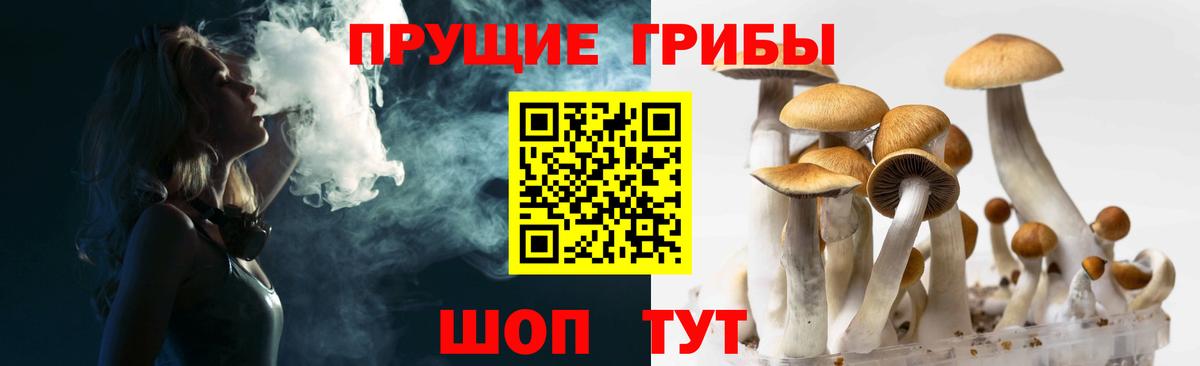 Галлюциногенные грибы мицелий Тольятти